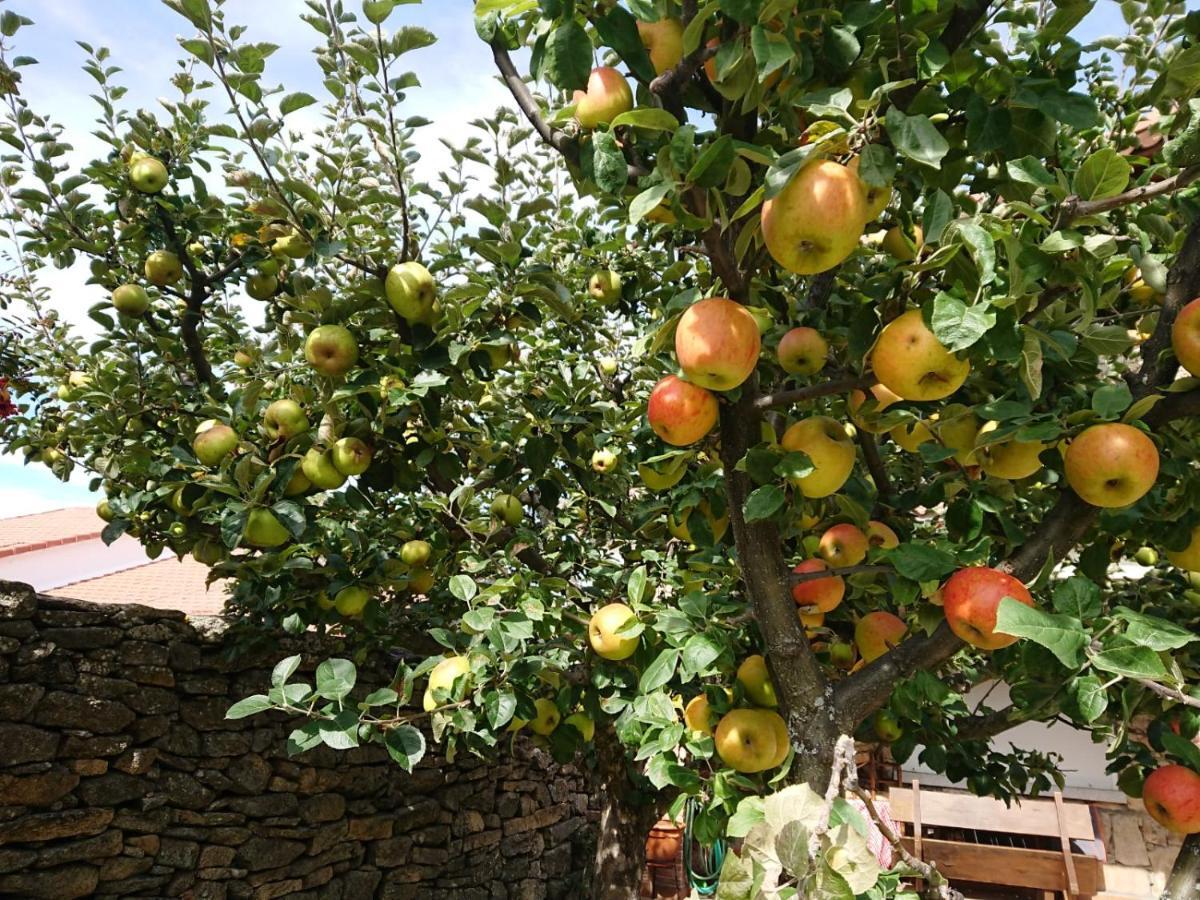 Holiday home Ermita De Gredos